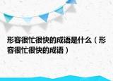 形容很忙很快的成語(yǔ)是什么（形容很忙很快的成語(yǔ)）