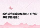 形容成功的成語(yǔ)和意思（形容很多意思的成語(yǔ)）