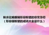 秋水比喻眼鏡形容盼望的非常急切（形容很盼望的成語大全是什么）