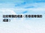 比較難懂的成語(yǔ)（形容很難懂的成語(yǔ)）