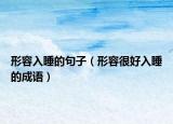 形容入睡的句子（形容很好入睡的成語(yǔ)）