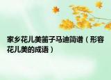 家鄉(xiāng)花兒美笛子馬迪簡(jiǎn)譜（形容花兒美的成語(yǔ)）