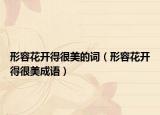 形容花開得很美的詞（形容花開得很美成語）