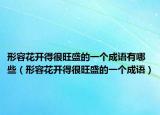 形容花開(kāi)得很旺盛的一個(gè)成語(yǔ)有哪些（形容花開(kāi)得很旺盛的一個(gè)成語(yǔ)）