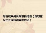形容花朵成長(zhǎng)艱難的詞語（形容花朵生長(zhǎng)過程艱辛的成語）