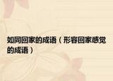 如同回家的成語（形容回家感覺的成語）