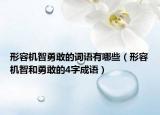 形容機(jī)智勇敢的詞語有哪些（形容機(jī)智和勇敢的4字成語）