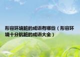 形容環(huán)境臟的成語有哪些（形容環(huán)境十分骯臟的成語大全）