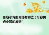 形容小雞的詞語有哪些（形容黃色小雞的成語）