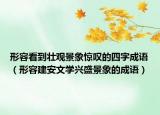 形容看到壯觀景象驚嘆的四字成語（形容建安文學(xué)興盛景象的成語）