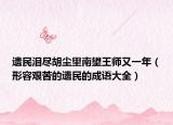 遺民淚盡胡塵里南望王師又一年（形容艱苦的遺民的成語(yǔ)大全）