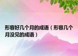 形容好幾個(gè)月的成語（形容幾個(gè)月沒見的成語）