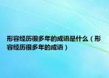 形容經(jīng)歷很多年的成語是什么（形容經(jīng)歷很多年的成語）