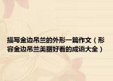 描寫金邊吊蘭的外形一篇作文（形容金邊吊蘭美麗好看的成語大全）