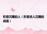 形容沉睡的人（形容進(jìn)入沉睡的成語）