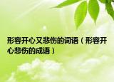 形容開心又悲傷的詞語（形容開心悲傷的成語）