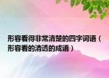 形容看得非常清楚的四字詞語（形容看的清透的成語）