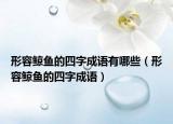 形容鯨魚的四字成語有哪些（形容鯨魚的四字成語）