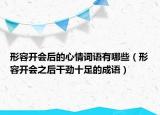 形容開會后的心情詞語有哪些（形容開會之后干勁十足的成語）