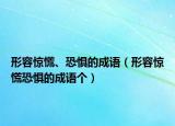 形容驚慌、恐懼的成語（形容驚慌恐懼的成語個(gè)）