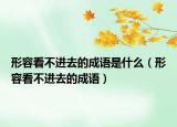 形容看不進(jìn)去的成語是什么（形容看不進(jìn)去的成語）