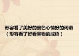 形容看了美好的景色心情好的詞語（形容看了好看景物的成語）