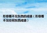 形容看不見東西的成語（形容看不見任何東西成語）