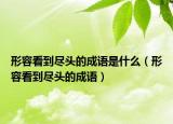 形容看到盡頭的成語是什么（形容看到盡頭的成語）