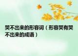 哭不出來的形容詞（形容哭有哭不出來的成語）