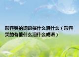 形容哭的詞語催什么淚什么（形容哭的有催什么淚什么成語）