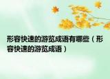 形容快速的游覽成語有哪些（形容快速的游覽成語）