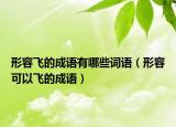 形容飛的成語(yǔ)有哪些詞語(yǔ)（形容可以飛的成語(yǔ)）