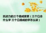 抗逆力的三個組成要素（三個?念什么字 三個?組成的字怎么讀）