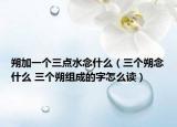 朔加一個三點水念什么（三個朔念什么 三個朔組成的字怎么讀）