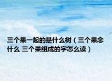 三個果一起的是什么樹（三個果念什么 三個果組成的字怎么讀）