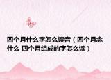 四個月什么字怎么讀音（四個月念什么 四個月組成的字怎么讀）