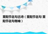 重陽(yáng)節(jié)名句古詩(shī)（重陽(yáng)節(jié)名句 重陽(yáng)節(jié)名句有啥）