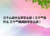 三個(gè)厶念什么字怎么讀（三個(gè)罒念什么 三個(gè)罒組成的字怎么讀）