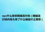npc什么意思網(wǎng)絡(luò)流行語(yǔ)（網(wǎng)絡(luò)流行語(yǔ)內(nèi)卷太卷了什么梗是什么意思）