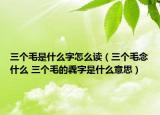 三個(gè)毛是什么字怎么讀（三個(gè)毛念什么 三個(gè)毛的毳字是什么意思）