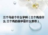 三個(gè)馬是個(gè)什么字?。ㄈ齻€(gè)馬念什么 三個(gè)馬的驫字是什么意思）