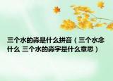 三個水的淼是什么拼音（三個水念什么 三個水的淼字是什么意思）