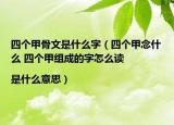 四個(gè)甲骨文是什么字（四個(gè)甲念什么 四個(gè)甲組成的字怎么讀|是什么意思）