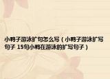 小鴨子游泳擴句怎么寫（小鴨子游泳擴寫句子 15句小鴨在游泳的擴寫句子）