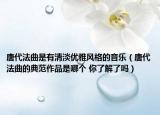 唐代法曲是有清淡優(yōu)雅風(fēng)格的音樂（唐代法曲的典范作品是哪個(gè) 你了解了嗎）