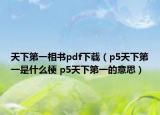 天下第一相書pdf下載（p5天下第一是什么梗 p5天下第一的意思）