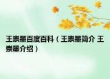 王崇墨百度百科（王崇墨簡介 王崇墨介紹）