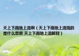天上下雨地上流?。ㄌ焐舷掠甑厣狭髦傅氖鞘裁匆馑?天上下雨地上流解釋）