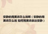 安靜的用英語怎么說呢（安靜的用英語怎么說 如何用英語表達(dá)安靜）