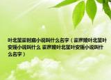 葉北笙霍時(shí)庭小說叫什么名字（霍彥陵葉北笙葉安瑤小說叫什么 霍彥陵葉北笙葉安瑤小說叫什么名字）